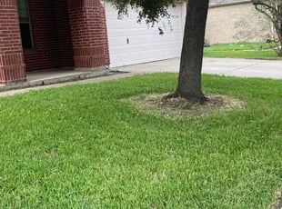Daniel M.'s Lawn Service service result