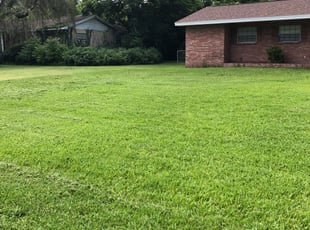 Cheryl C.'s Lawn Service service result
