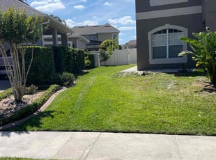 Corinne S.'s Grass Cutting service result