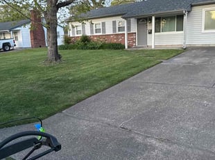 Vince S.'s Lawn Care service result