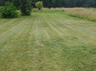 Jeannine K.'s Lawn Maintenance service result