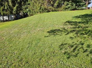 lan S.'s Lawn Care service result