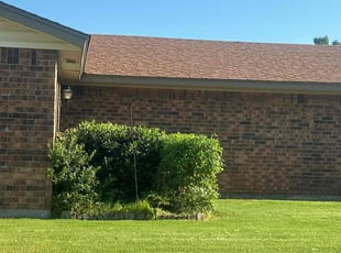 Bush Trimming by Leray Thornton for Patricia T. in Oklahoma City, OK