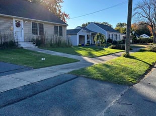 Kimberly A.'s Lawn Mowing service result