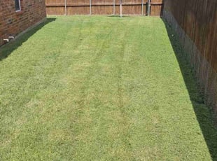 Cleanups by Ernest Howard for Kimberley P. in Frisco, TX