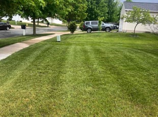 Ryan B.'s Lawn Mowing Service service result
