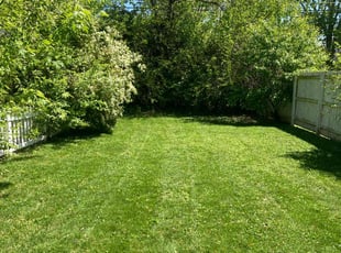 Dawn k.'s Lawn Care service result
