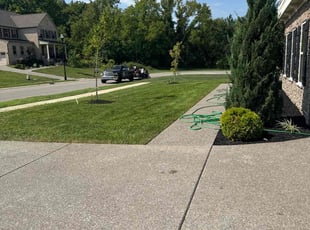 Tom R.'s Lawn Care service result