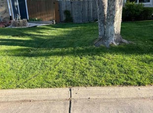 Heather H.'s Lawn Mowing service result