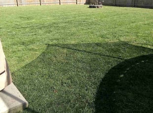 Scott T.'s Lawn Service service result