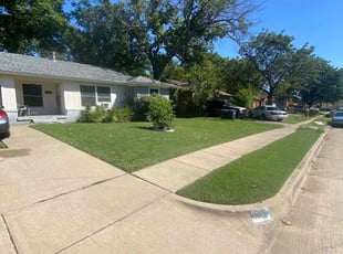 Marie D.'s Grass Cutting service result
