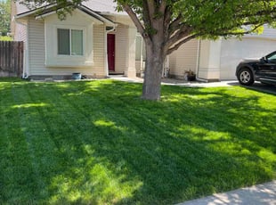 Jennifer A.'s Grass Cutting service result
