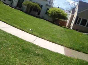 Beverly H.'s Lawn Mowing service result