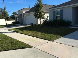Scarlene A.'s Lawn Mowing service result