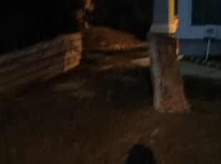 Cleanups by Luis Martinez for Sukhraj B. in Citrus Heights, CA