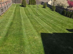 Jeff H.'s Lawn Care service result
