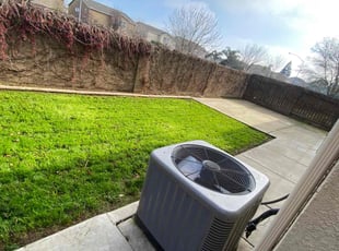 Lynn M.'s Yard Cutting service result