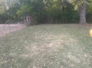 Leaf Removal by Dominik Duncan for Abigail W. in Cincinnati, OH