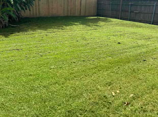 Christopher M.'s Lawn Mowing Service service result