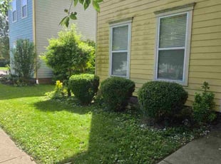 Bush Trimming by Ceo Bailey for Darren F. in New Albany, IN