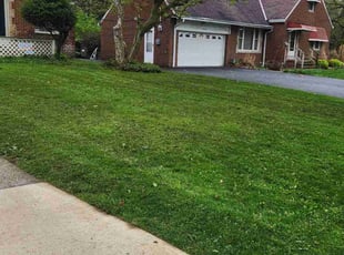 Char s.'s Lawn Mowing service result