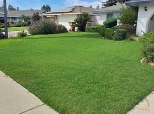 Yvette F.'s Lawn Maintenance service result