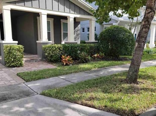 Bush Trimming by Permon Riggins for Joao B. in Winter Garden, FL