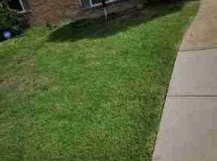 Shayala P.'s Lawn Care service result