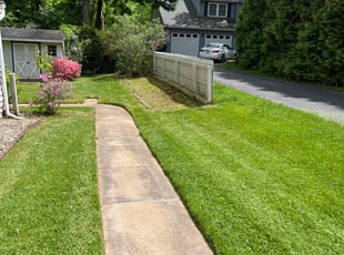 Gregg M.'s Lawn Mowing Service service result