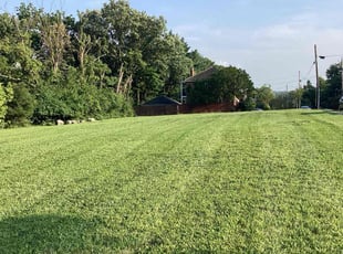 Kathy S.'s Grass Cutting service result