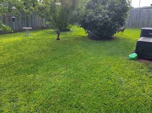 Tracy B.'s Lawn Service service result