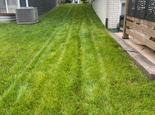 Allan M.'s Lawn Mowing service result