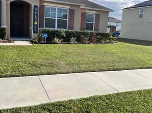 Rodolfo F.'s Lawn Mowing Service service result