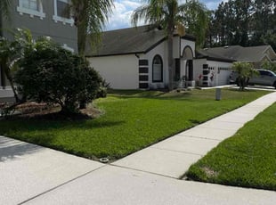 Nieves A.'s Lawn Mowing Service service result