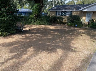 Leaf Removal by William Sellers for Jeanette J. in Mount Pleasant, SC