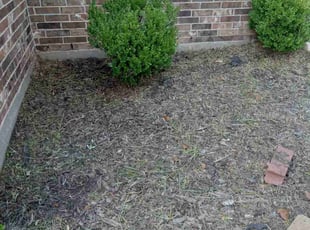 Weeding by Enrique Ramirez for Ryan R. in Humble, TX