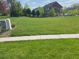 David H.'s Lawn Maintenance service result