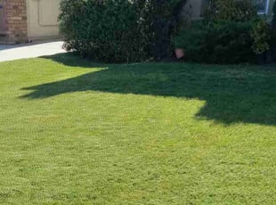 Theta Y.'s Lawn Mowing Service service result