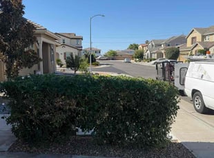 Bush Trimming by Diego Mojica for Dawn/Kirk E. in Sacramento, CA