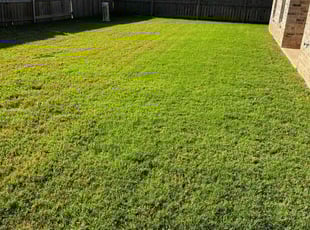Ether T.'s Lawn Service service result