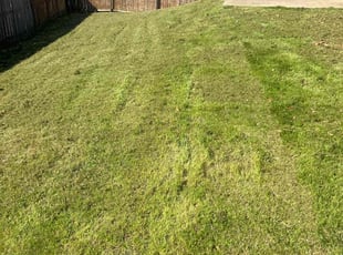 Teresa R.'s Lawn Mowing service result