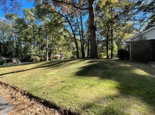Leaf Removal by Matthew Veal for Franky L. in Atlanta, GA