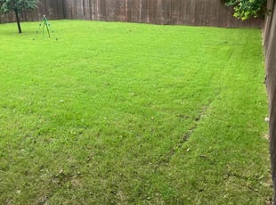 Howard D.'s Lawn Service service result