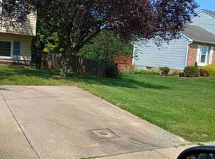 Doh K.'s Lawn Mowing service result