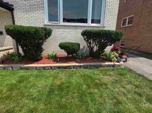 Bush Trimming by Jeremy Myhre for Janice F. in Calumet City, IL