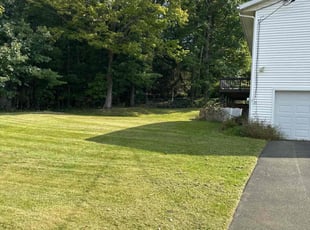 ryan b.'s Lawn Maintenance service result