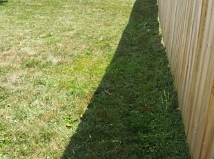 Bush Trimming by Terrance North for Ben / Carey J. in Cincinnati, OH
