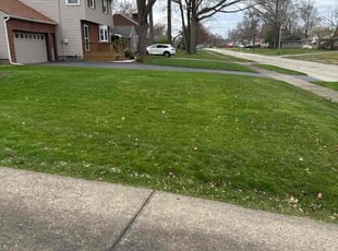 terence b.'s Lawn Mowing service result