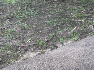 Cleanups by Luciano Rivera for Jon B. in Dallas, TX