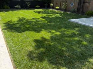 Weeding by Kevin Pineda for Michelle M. in Kannapolis, NC